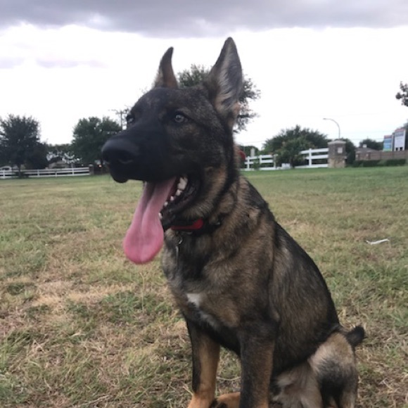 Meet your Posher, David - Picture 1 of 1